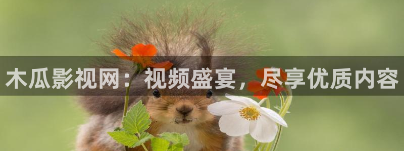 神马不卡我不卡秋霞影院